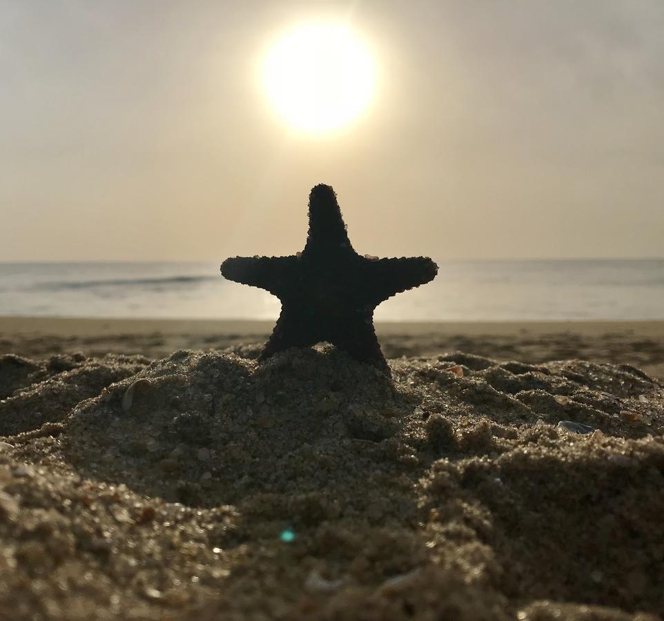 Starfish Beach Bungalows Arugam Bay Kültér fotó